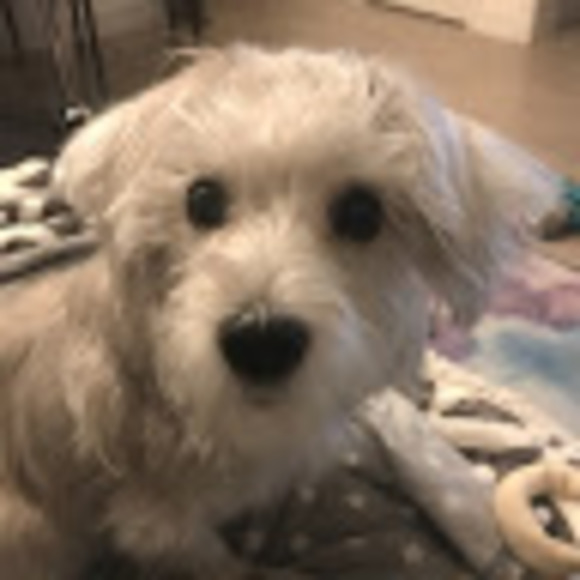 Meet your Posher, Helen - Picture 1 of 1